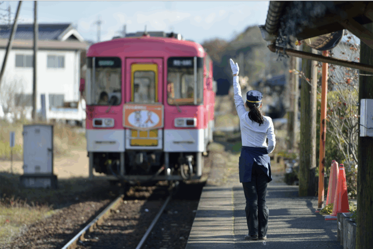 Des trains pas comme les autres au Japon